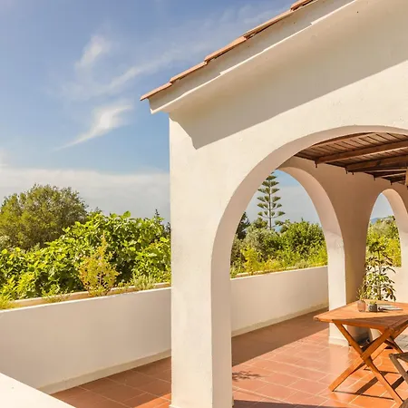 Noi- Noi The Lägenhet