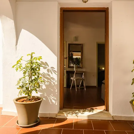 Noi- Noi The Lägenhet Antipata (Erisos)