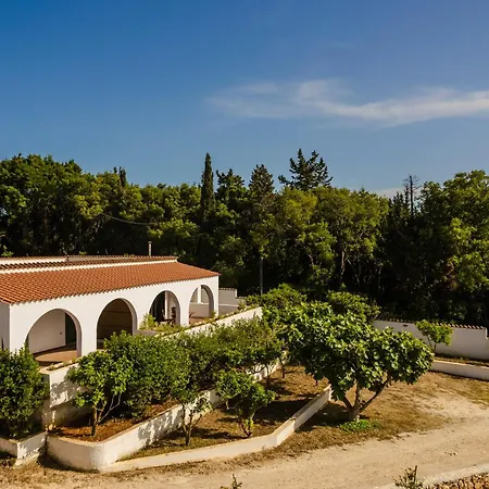 Lägenhet Noi- Noi The Antipata (Erisos)